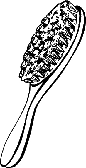 Иллюстрация к книге — Косы и косички. Мастер-класс профессионалов [i_005.jpg]