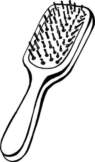 Иллюстрация к книге — Косы и косички. Мастер-класс профессионалов [i_007.jpg]