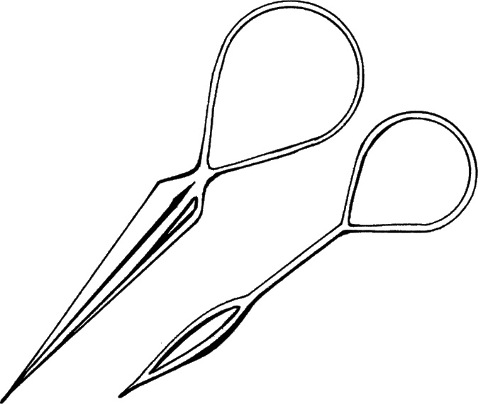 Иллюстрация к книге — Косы и косички. Мастер-класс профессионалов [i_010.jpg]