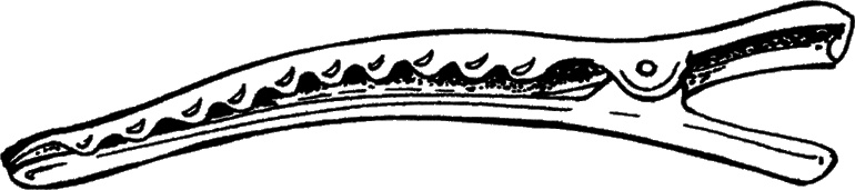 Иллюстрация к книге — Косы и косички. Мастер-класс профессионалов [i_017.jpg]