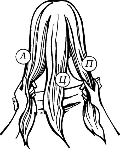 Иллюстрация к книге — Косы и косички. Мастер-класс профессионалов [i_020.jpg]