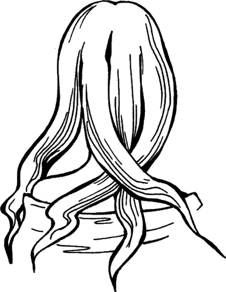 Иллюстрация к книге — Косы и косички. Мастер-класс профессионалов [i_043.jpg]