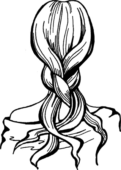 Иллюстрация к книге — Косы и косички. Мастер-класс профессионалов [i_044.jpg]