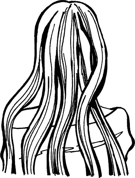 Иллюстрация к книге — Косы и косички. Мастер-класс профессионалов [i_057.jpg]