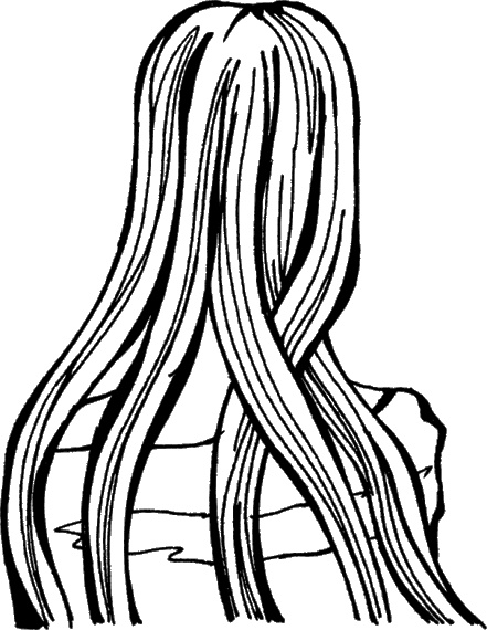 Иллюстрация к книге — Косы и косички. Мастер-класс профессионалов [i_058.jpg]