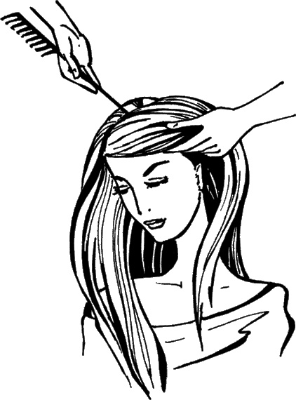 Иллюстрация к книге — Косы и косички. Мастер-класс профессионалов [i_062.jpg]