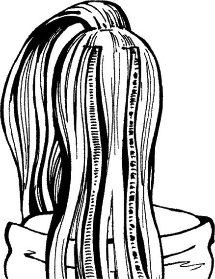 Иллюстрация к книге — Косы и косички. Мастер-класс профессионалов [i_070.jpg]