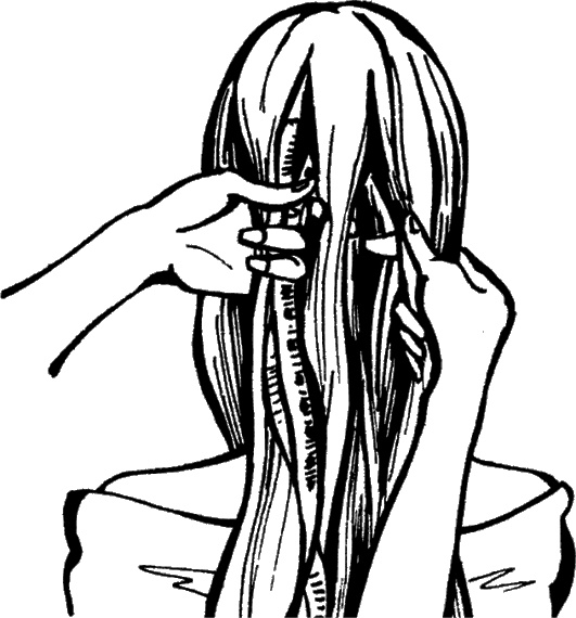 Иллюстрация к книге — Косы и косички. Мастер-класс профессионалов [i_071.jpg]