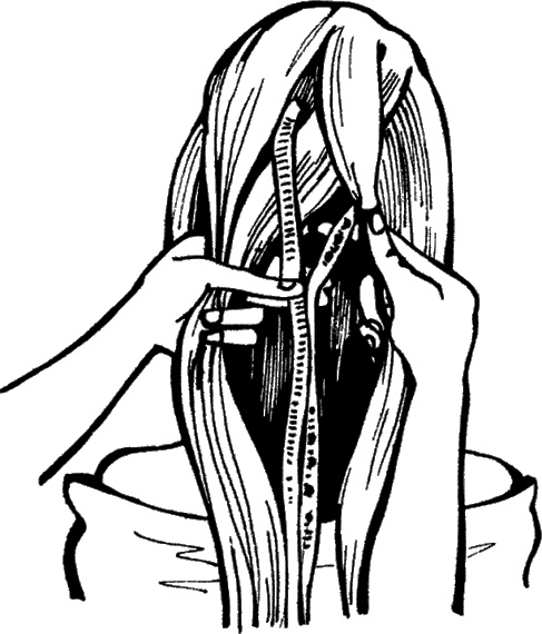 Иллюстрация к книге — Косы и косички. Мастер-класс профессионалов [i_072.jpg]