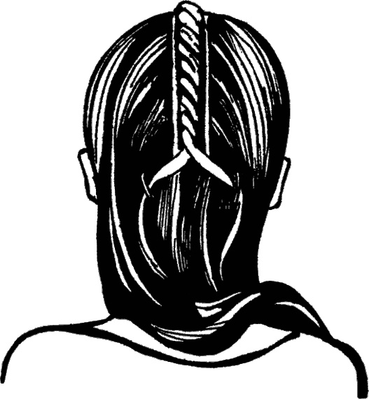 Иллюстрация к книге — Косы и косички. Мастер-класс профессионалов [i_097.jpg]