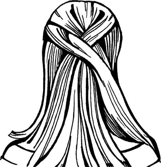 Иллюстрация к книге — Косы и косички. Мастер-класс профессионалов [i_101.jpg]