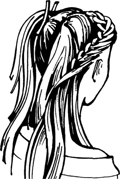 Иллюстрация к книге — Косы и косички. Мастер-класс профессионалов [i_115.jpg]