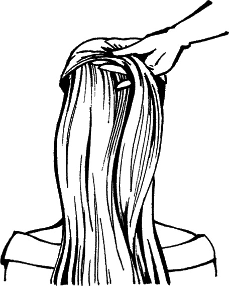 Иллюстрация к книге — Косы и косички. Мастер-класс профессионалов [i_119.jpg]