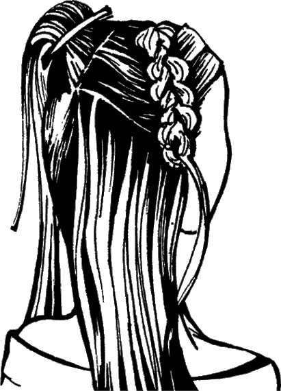 Иллюстрация к книге — Косы и косички. Мастер-класс профессионалов [i_123.jpg]