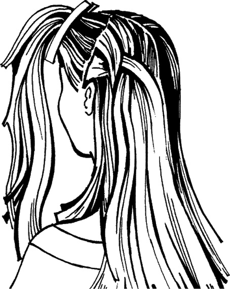 Иллюстрация к книге — Косы и косички. Мастер-класс профессионалов [i_127.jpg]