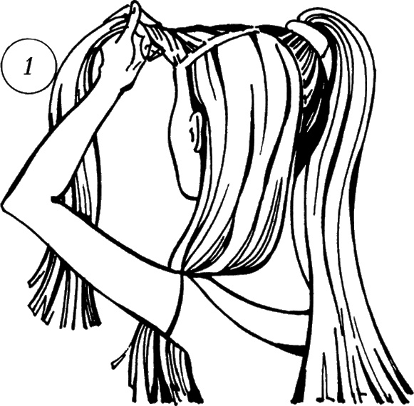 Иллюстрация к книге — Косы и косички. Мастер-класс профессионалов [i_143.jpg]