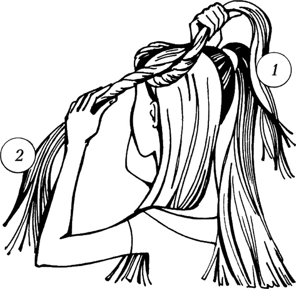 Иллюстрация к книге — Косы и косички. Мастер-класс профессионалов [i_144.jpg]