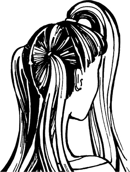 Иллюстрация к книге — Косы и косички. Мастер-класс профессионалов [i_152.jpg]