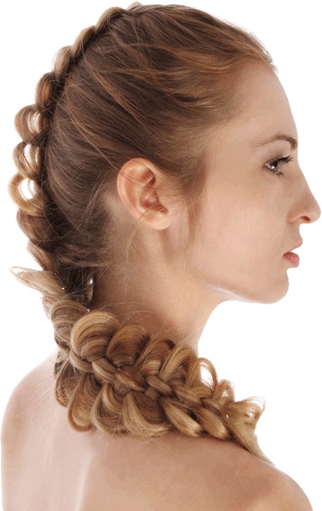 Иллюстрация к книге — Косы и косички. Мастер-класс профессионалов [i_164.jpg]