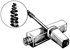 Иллюстрация к книге — Макияж. Краткая энциклопедия [i_006.jpg]