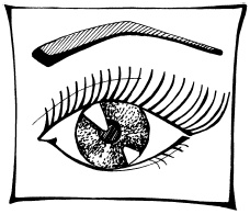 Иллюстрация к книге — Макияж. Краткая энциклопедия [i_051.jpg]