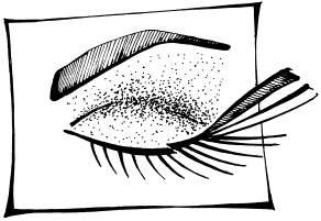 Иллюстрация к книге — Макияж. Краткая энциклопедия [i_079.jpg]