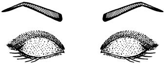 Иллюстрация к книге — Макияж. Краткая энциклопедия [i_089.jpg]