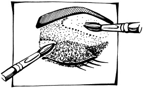 Иллюстрация к книге — Макияж. Краткая энциклопедия [i_104.jpg]