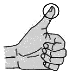 Иллюстрация к книге — Сахарный диабет. 500 ответов на самые важные вопросы [Autogen_eBook_id125.jpg]