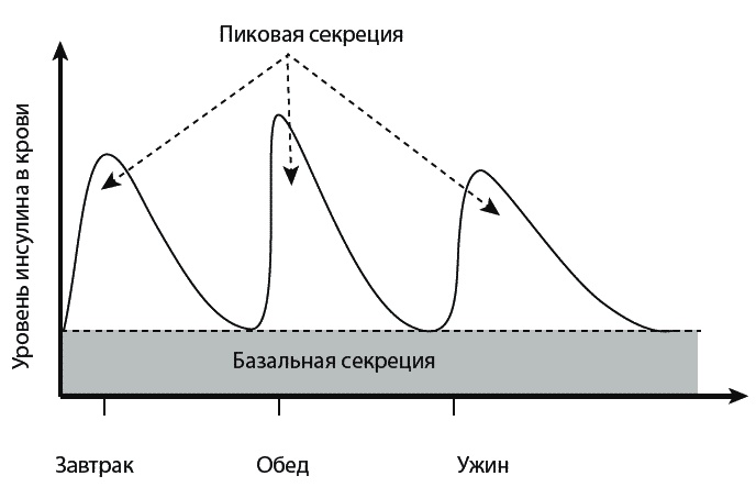 Иллюстрация к книге — Сахарный диабет. 500 ответов на самые важные вопросы [Autogen_eBook_id4.jpg]