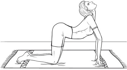 Иллюстрация к книге — Гимнастика для внутренних органов [i_006.jpg]