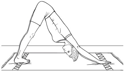 Иллюстрация к книге — Гимнастика для внутренних органов [i_010.jpg]