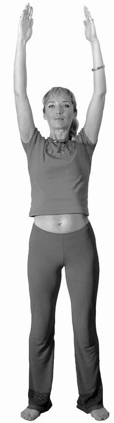 Иллюстрация к книге — Золотые китайские упражнения для здоровья и долголетия [Autogen_eBook_id1.jpg]