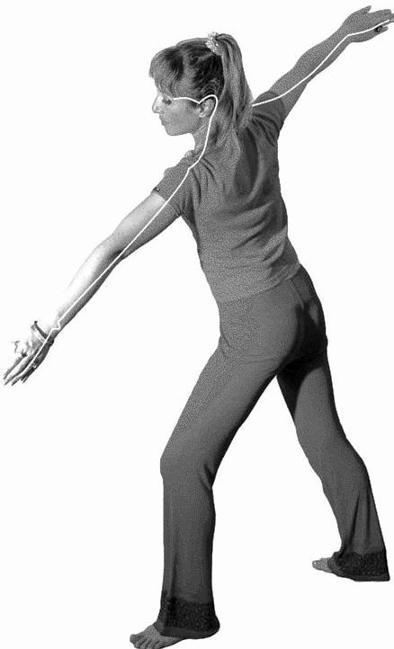 Иллюстрация к книге — Золотые китайские упражнения для здоровья и долголетия [Autogen_eBook_id17.jpg]