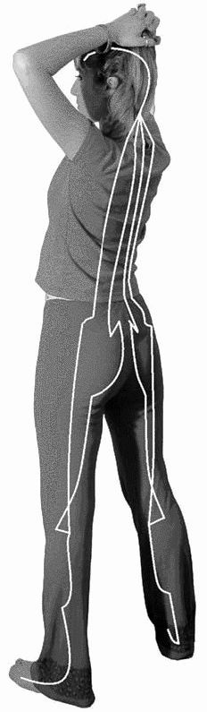 Иллюстрация к книге — Золотые китайские упражнения для здоровья и долголетия [Autogen_eBook_id29.jpg]