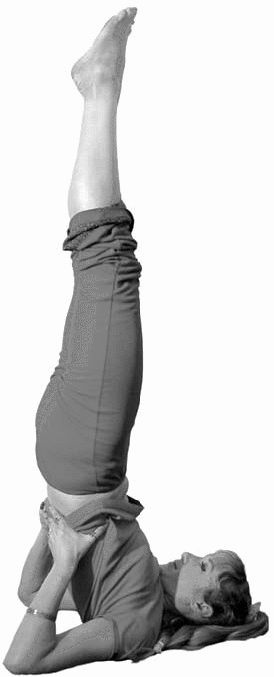 Иллюстрация к книге — Золотые китайские упражнения для здоровья и долголетия [Autogen_eBook_id30.jpg]