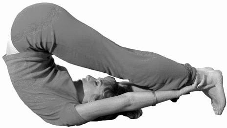 Иллюстрация к книге — Золотые китайские упражнения для здоровья и долголетия [Autogen_eBook_id31.jpg]