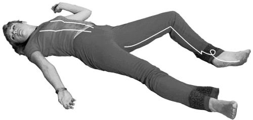 Иллюстрация к книге — Золотые китайские упражнения для здоровья и долголетия [Autogen_eBook_id32.jpg]