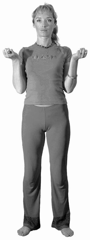 Иллюстрация к книге — Золотые китайские упражнения для здоровья и долголетия [Autogen_eBook_id8.jpg]