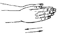 Иллюстрация к книге — Цигун для глаз [i_045.jpg]