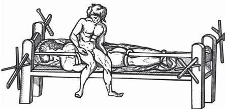 Иллюстрация к книге — Остеохондроз для профессионального пациента [i_104.jpg]