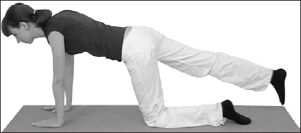 Иллюстрация к книге — Остеохондроз. Как победить боль [i_019.jpg]