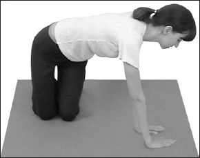 Иллюстрация к книге — Остеохондроз. Как победить боль [i_024.jpg]