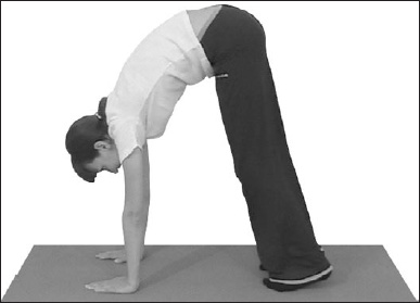 Иллюстрация к книге — Остеохондроз. Как победить боль [i_026.jpg]