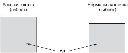 Иллюстрация к книге — Рак. Практика исцеления и профилактика. Лечение ядами [i_002.jpg]