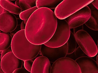 Иллюстрация к книге — О чем говорят анализы. Секреты медицинских показателей - для пациентов [i_001.jpg]