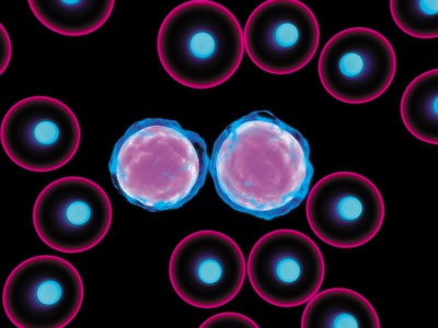 Иллюстрация к книге — О чем говорят анализы. Секреты медицинских показателей - для пациентов [i_005.jpg]