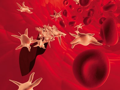 Иллюстрация к книге — О чем говорят анализы. Секреты медицинских показателей - для пациентов [i_007.jpg]