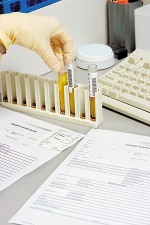 Иллюстрация к книге — О чем говорят анализы. Секреты медицинских показателей - для пациентов [i_011.jpg]