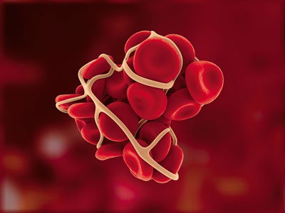 Иллюстрация к книге — О чем говорят анализы. Секреты медицинских показателей - для пациентов [i_018.jpg]